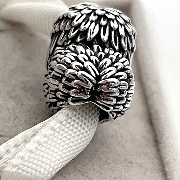 Pandora Angelic Feathers Charm - Picture 4 of 4